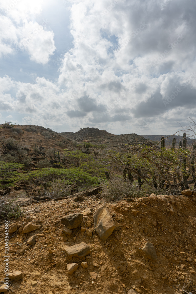 Fototapeta premium Rocky desert landscape with cacti in la guajira colombia