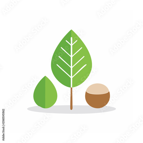 Flat Design Tree Leaf and Nut Illustration