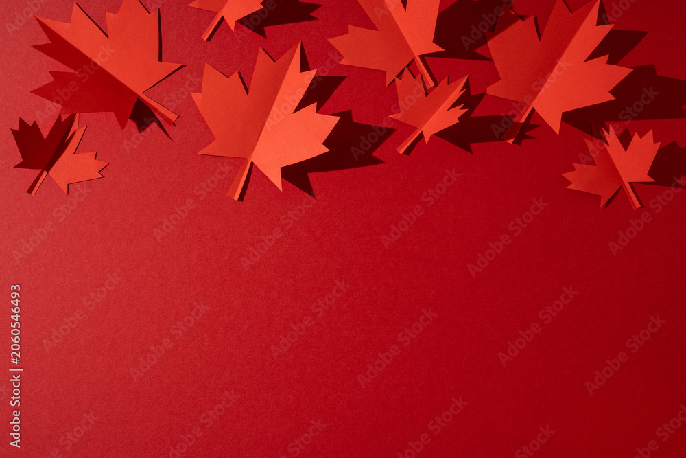 Obraz premium Red paper maple leaves on red background for Canada Independence Day celebration and patriotic decoration