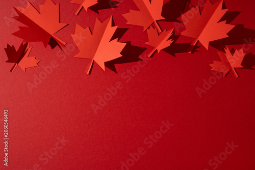 Red paper maple leaves on red background for Canada Independence Day celebration and patriotic decoration