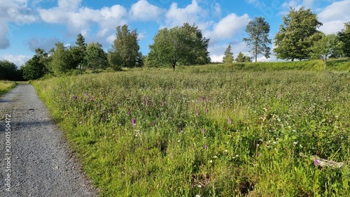Schilderij op canvas near Egge Tower, panoramic view to Velmerstot