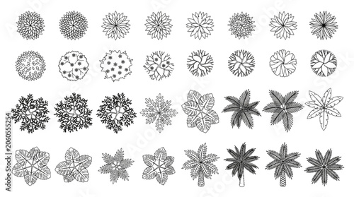 Tableau sur toile Set of Professional Landscape Architectural CAD Tree Symbols for Urban Planning