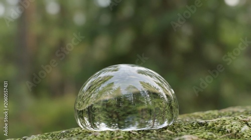 Close-up of a transparent water droplet reflecting the surrounding green forest on a mossy tree branch