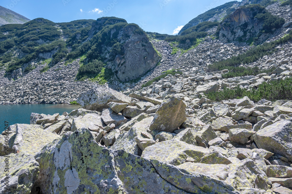 Obraz premium Pirin Mountain near Banderitsa Area, Bulgaria