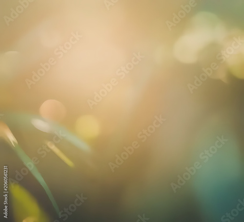 Warm golden summer light abstract background with smooth blur texture