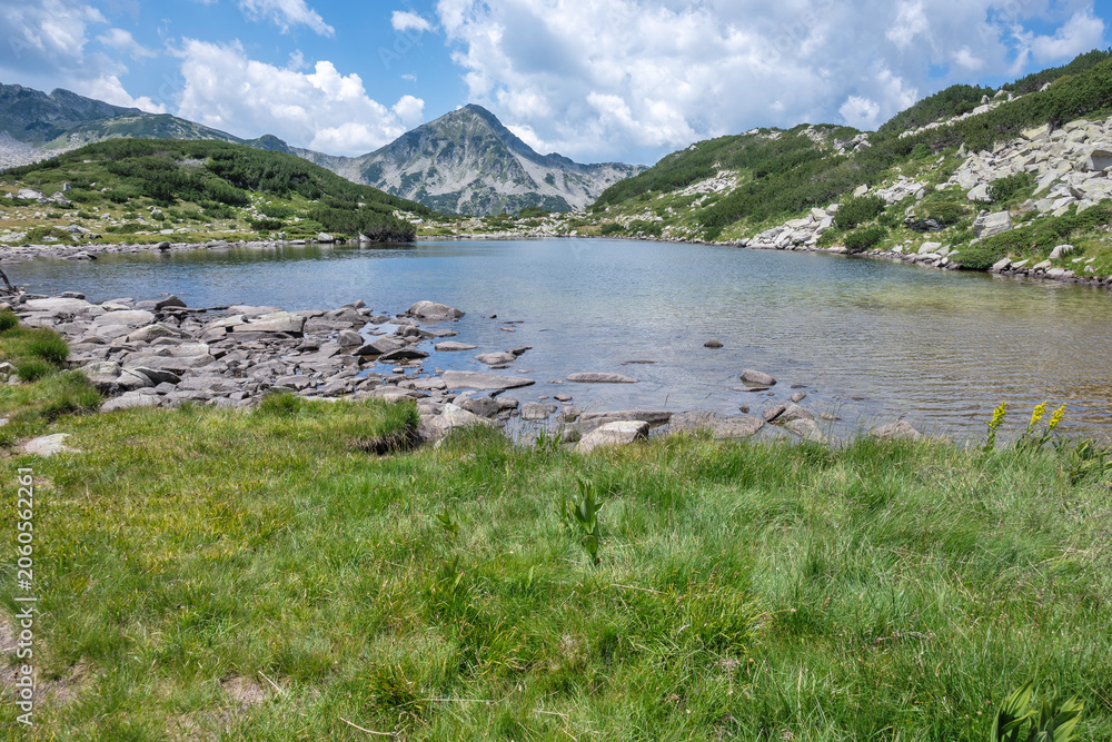 Obraz premium Pirin Mountain near Banderitsa Area, Bulgaria