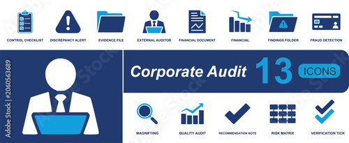 Foto Corporate audit icon set