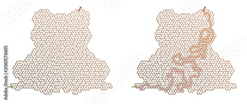 Frog-shaped maze design for summer camp activity concept  
