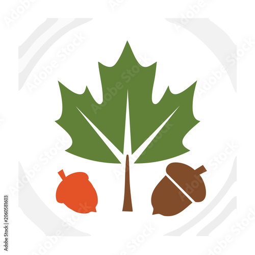Flat design maple leaf and acorns icon