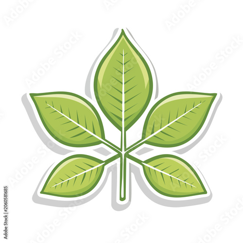 Green Maple Leaf Flat Design Illustration
