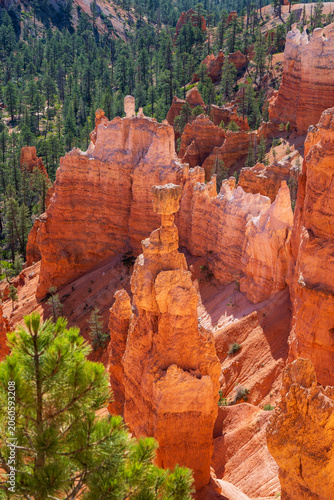 Fotografie bryce canyon national park
