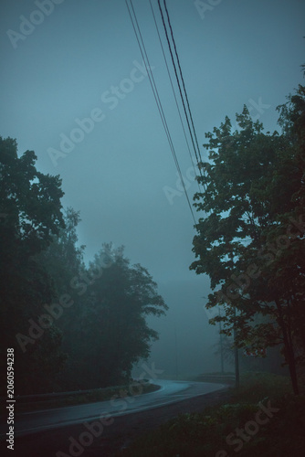 Curved road disappearing into dense fog
