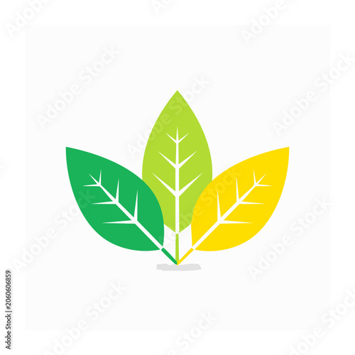 Three colorful leaves icon in flat design