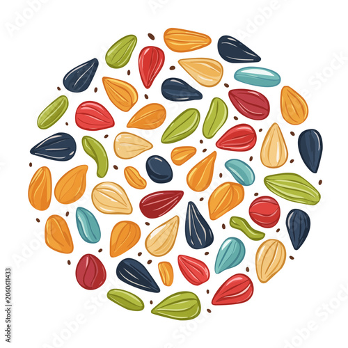 Colorful seeds illustration in circular pattern