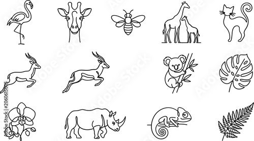 Photography Set of hand drawn outline illustrations featuring wild animals and botanical elements
