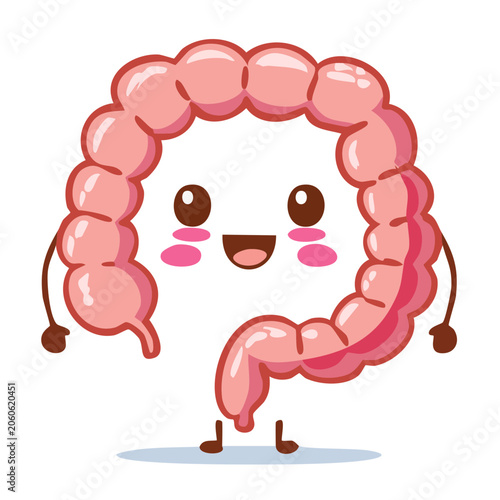 Cute Cartoon Intestine Character