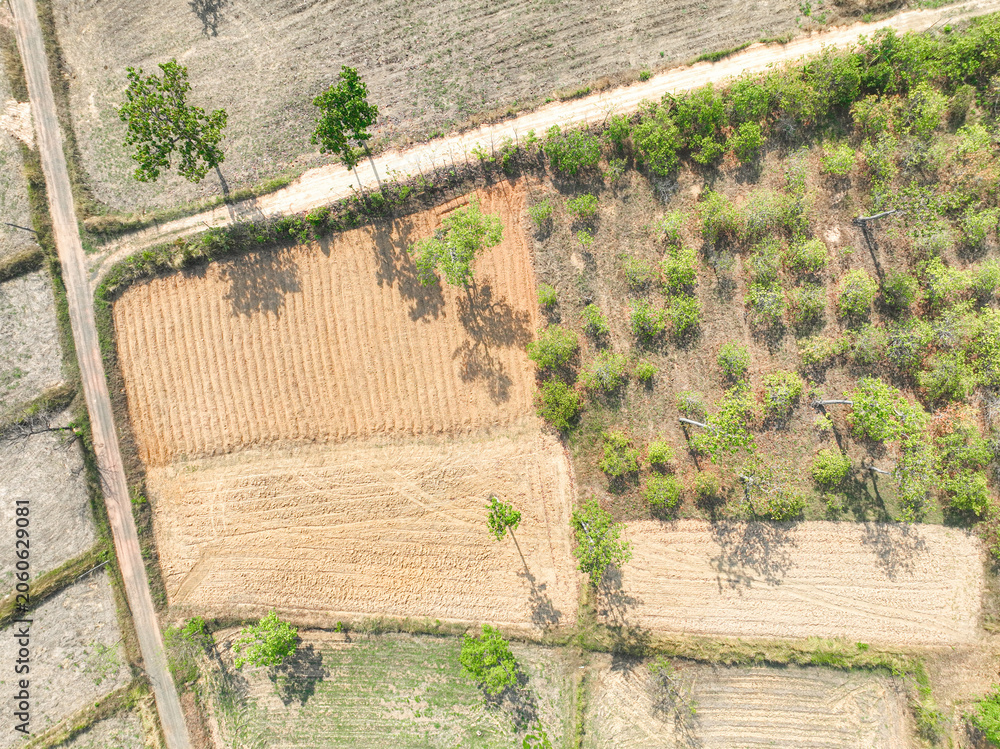 Naklejka premium Sustainable mixed farming landscape with crop fields in rural countryside supporting climate resilience and food security. Climate adaptive land management practice. Regenerative agricultural farmland