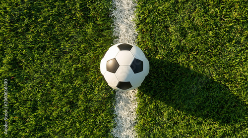Soccer Ball on the Field: A...