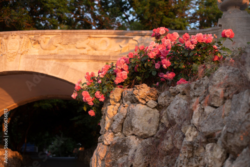 A stone bridge with pink roses blooming on the side. The scene is illuminated by warm sunlight, creating a serene and picturesque atmosphere.