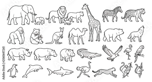 Photography Hand drawn wild animal icons, outline safari zoo animals set, black and white ve