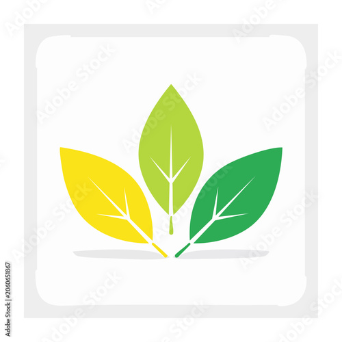 Three colorful leaves icon in flat design