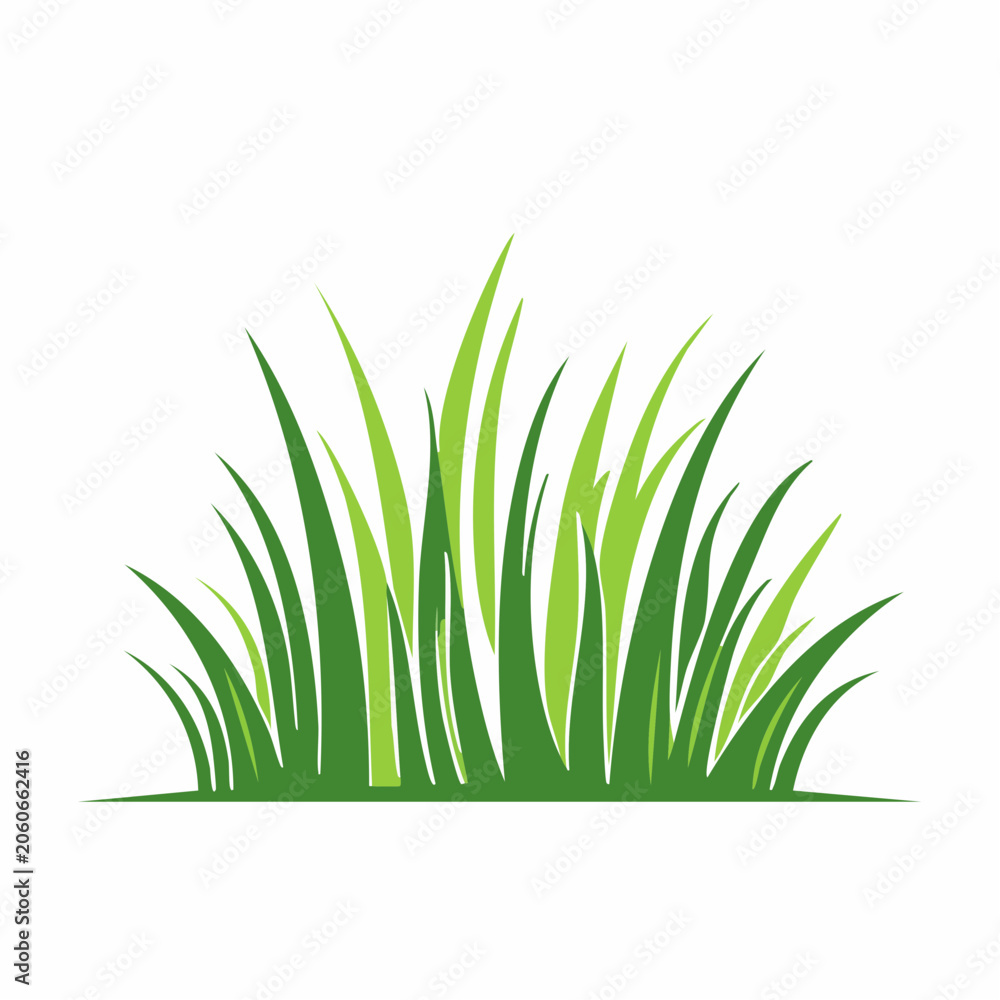 Fototapeta premium Green Grass Illustration