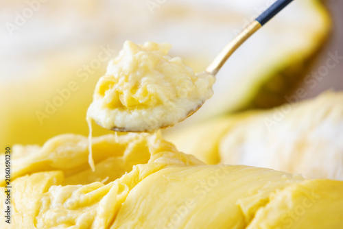 Eating Thai Golden Pillow durian flesh with a spoon