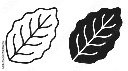 Photos Leaves Displayed Side by Side in Black and White