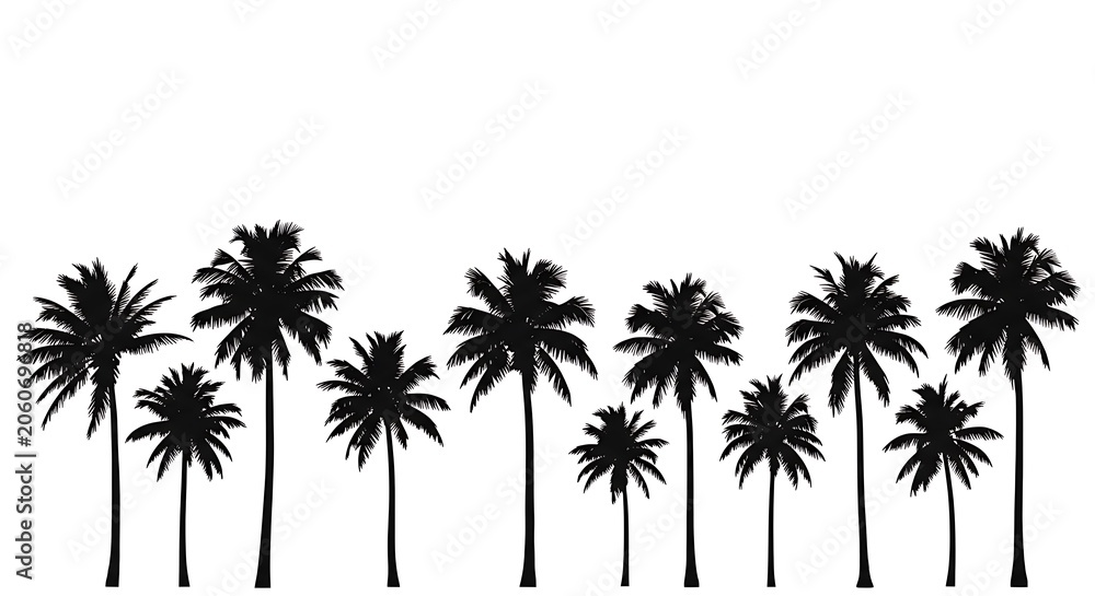 Fototapeta premium Silhouette of palm trees against white background tropical landscape concept