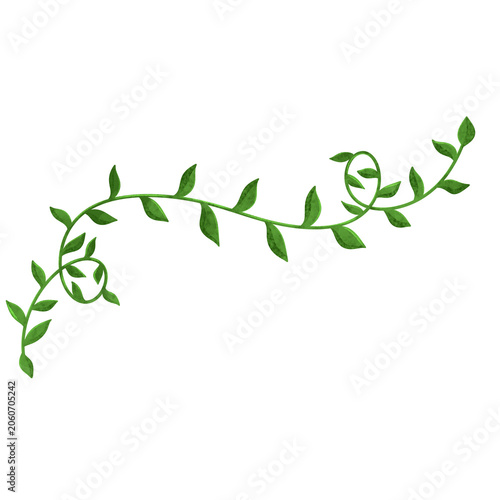 Creeping Vines leaves illustration 