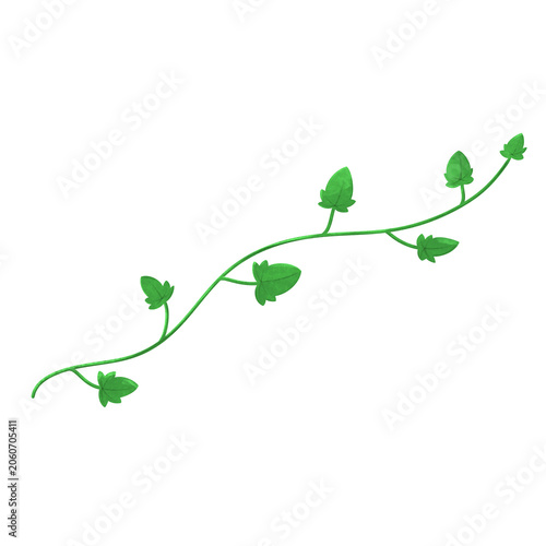 Creeping Vines leaves illustration 