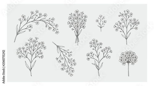Hand drawn baby's breath floral vector set, delicate gypsophila flower line art collection, minimalist botanical sketches for wedding invitations