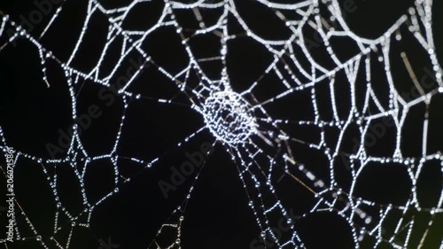 Intricate spider web with water drops close up.