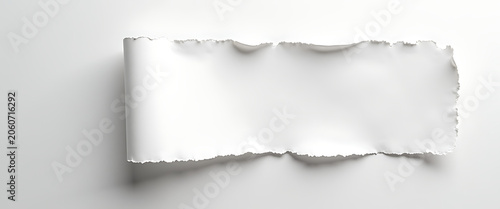 Torn paper with rolled edge and shadow on clean white background.