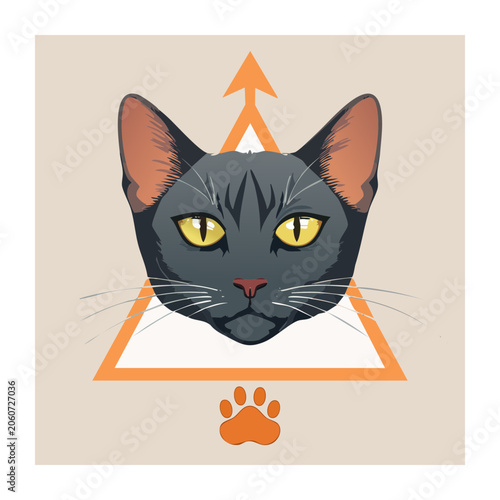 Gray cat face with geometric elements illustration