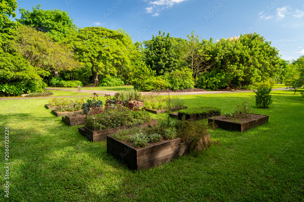 Obraz premium Multiple raised wooden planter boxes full of green plants and blooming flowers stand on the green lawn in the Florida park.