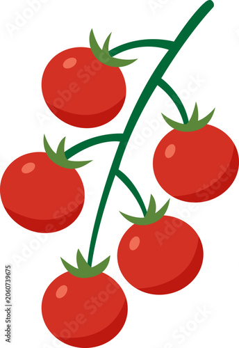 set of tomatoes isolated