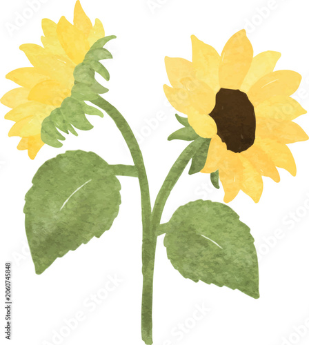 sunflower tree dwarf watercolor cute decoration