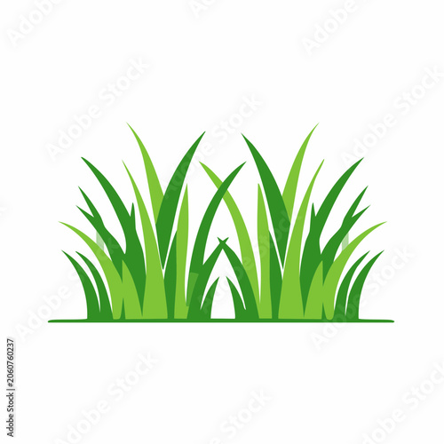 Green Grass Illustration