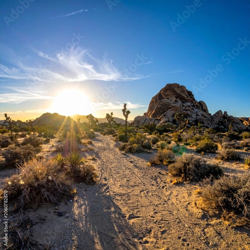 Desert sunset, sun flares