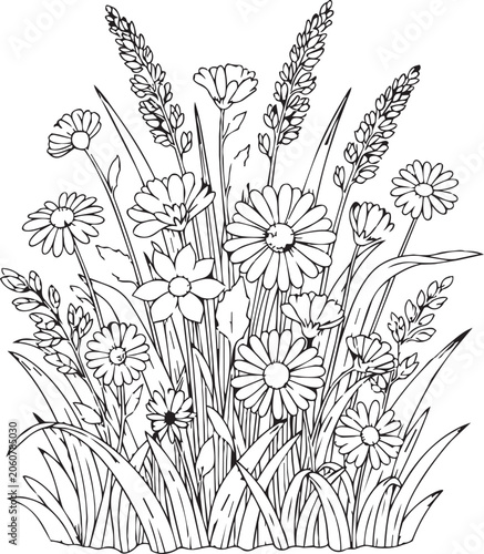 Wildflowers and grasses in a delicate line drawing with selective focus for a natural botanical concept