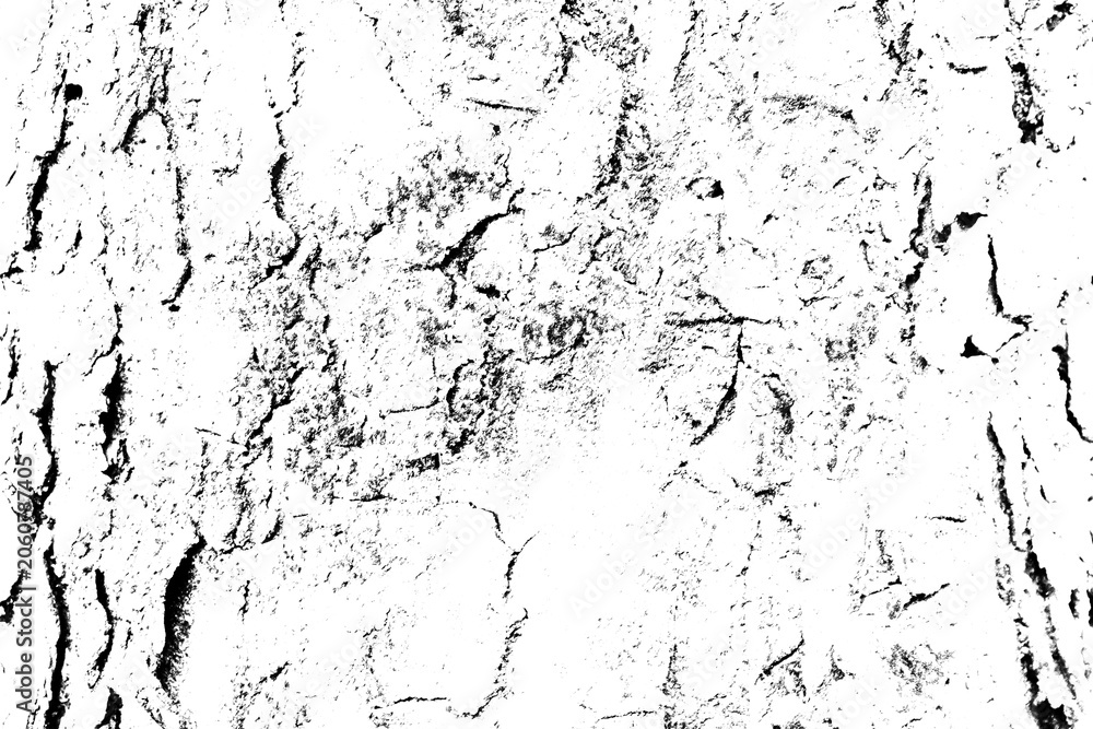 Fototapeta premium Tree Bark Texture Overlay with Distressed Grunge Background