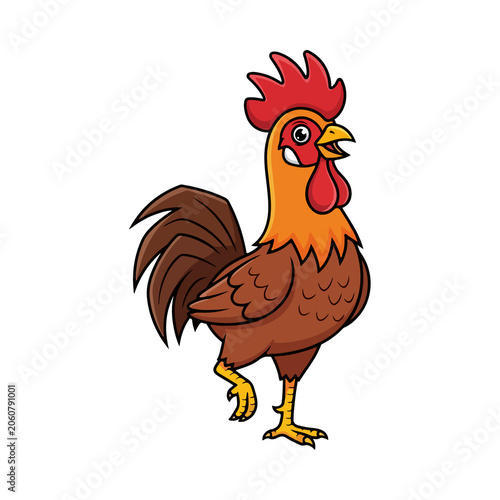 chicken, rooster, cartoon, hen, bird, farm, animal, vector, illustration, poultry, cockerel, beak, isolated, animals, feather, fowl, nature, agriculture, chickens, birds, drawing, art, clipart, silhou