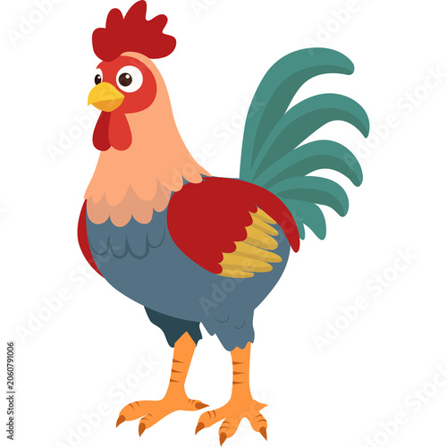 chicken, rooster, cartoon, hen, bird, farm, animal, vector, illustration, poultry, cockerel, beak, isolated, animals, feather, fowl, nature, agriculture, chickens, birds, drawing, art, clipart, silhou