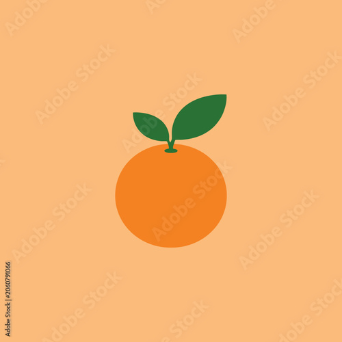 A simple flat illustration of a fresh orange fruit icon