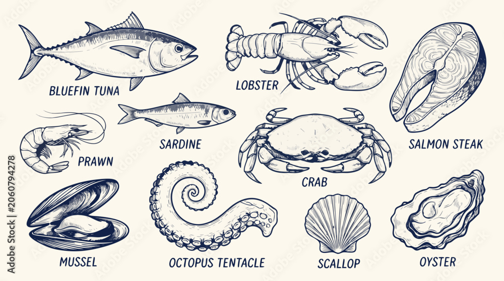 Obraz premium Collection of delicious seafood illustrations including tuna lobster crab prawn and oyster