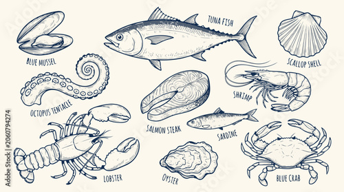 Photos Collection of delicious and fresh seafood illustrations featuring fish crustacea