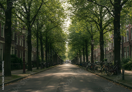 Trees lined street cityscape