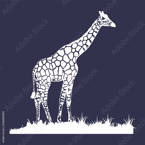Giraffe Silhouette on Grass Field Vector Illustration