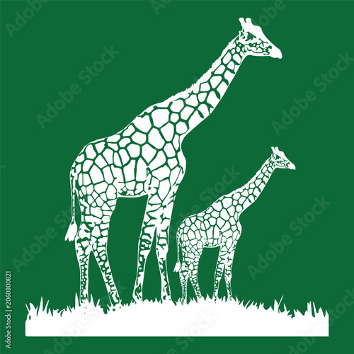 Giraffe Mother and Calf Silhouette in Grass